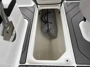 Thumbnail von Sea Ray SPX 210 Outboard