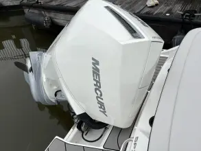 Thumbnail von Sea Ray SPX 210 Outboard