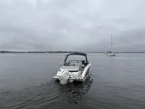 Thumbnail von Sea Ray SPX 210 Outboard