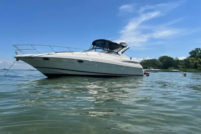 Regal 3560 Commodore