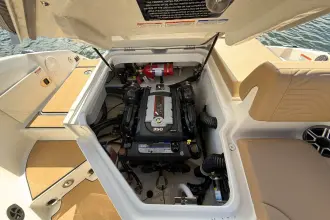 Thumbnail von Sea Ray SDX 250 Surf