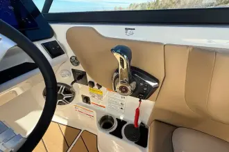 Thumbnail von Sea Ray SDX 250 Surf