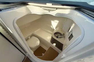 Thumbnail von Sea Ray SDX 250 Surf