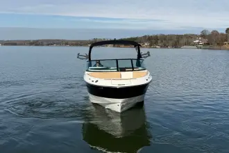 Thumbnail von Sea Ray SDX 250 Surf