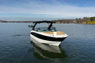 Thumbnail von Sea Ray SDX 250 Surf