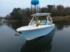 Thumbnail von Cobia 240 DC