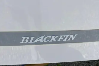 Thumbnail von Blackfin 242 HB Whisper Gray
