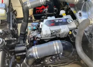 Thumbnail von Maori 50 T-Top