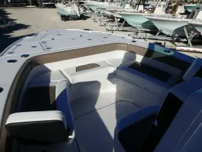 Thumbnail von Blackfin 262 HB