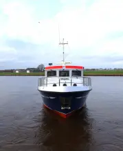 Thumbnail von Pedro Donky 37