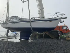 Thumbnail von Malo 40 classic