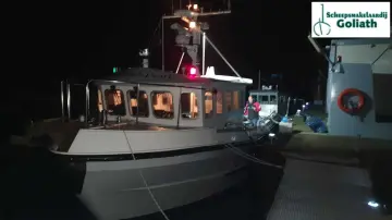 Thumbnail von Sygnus Catfish The Black Pearl