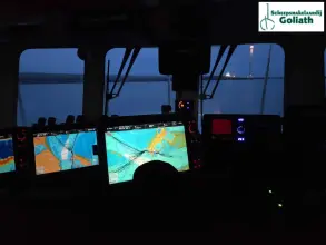 Thumbnail von Sygnus Catfish The Black Pearl