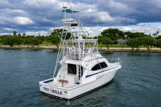 Thumbnail von Bertram 39 Convertible