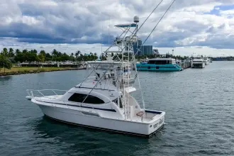 Thumbnail von Bertram 39 Convertible