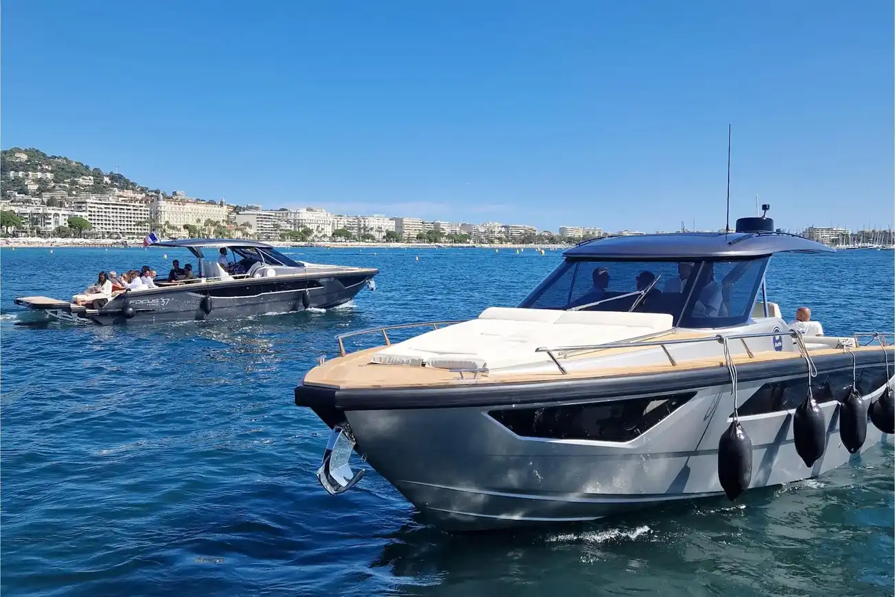 Thumbnail von Focus Forza 37