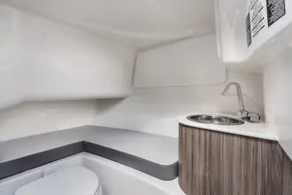 Thumbnail von Sea Ray SDX 250