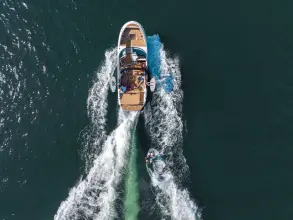 Thumbnail von シー レイ SDX 250 サーフ