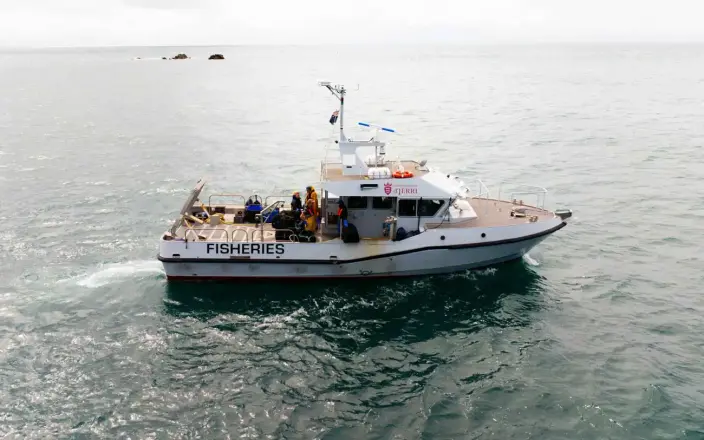 Camarc Norman Le Brocq Red Ensign - 4060