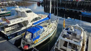 Thumbnail von Malo 39 Kumari