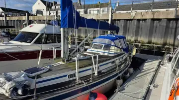 Thumbnail von Malo 39 Kumari