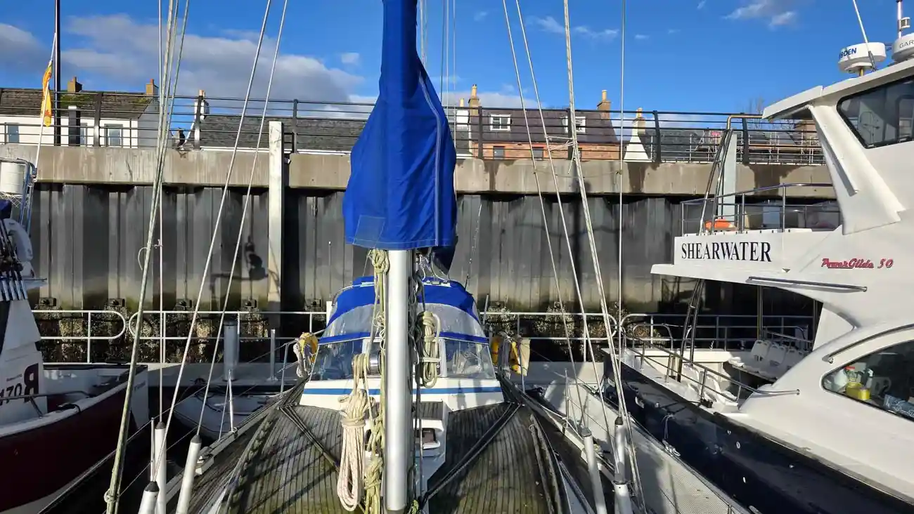 Thumbnail von Malo 39 Kumari