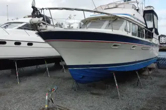 Thumbnail von Trader 42+1