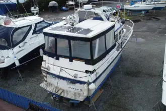 Thumbnail von Trader 42+1