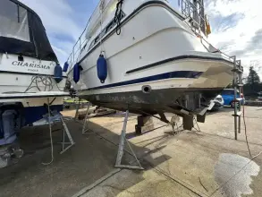 Thumbnail von Scopa 33