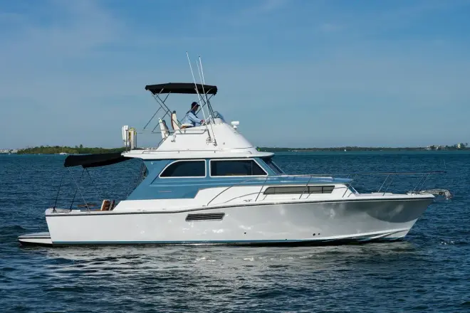 Bertram 38 Spor Balıkçı FIELD &amp; SEA