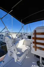 Thumbnail von Bertram 38 Sport Fisherman FIELD & SEA