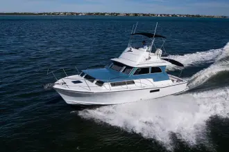 Thumbnail von Bertram 38 Sport Fisherman FIELD & SEA