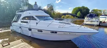 Thumbnail von Sealine F36 Sea Witch