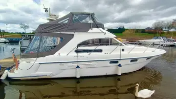 Thumbnail von Sealine F36 Sea Witch