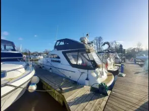 Thumbnail von Sealine F36 Sea Witch