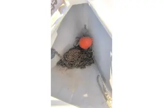 Thumbnail von ベネトー オーシニス 41