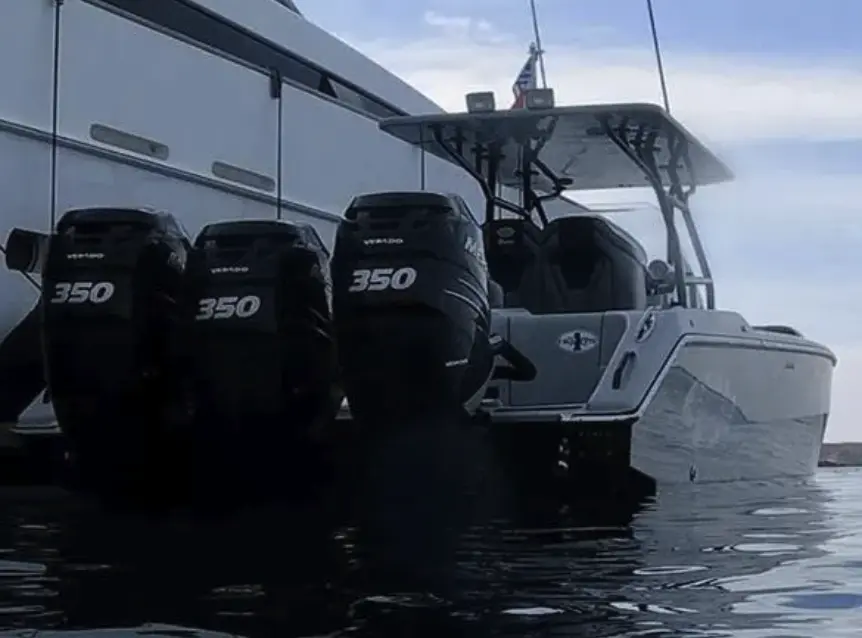 Thumbnail von Papieros 39 Top Fish