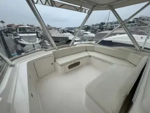 Thumbnail von Bertram 510