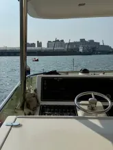 Thumbnail von Grand Harbour Ruby 72