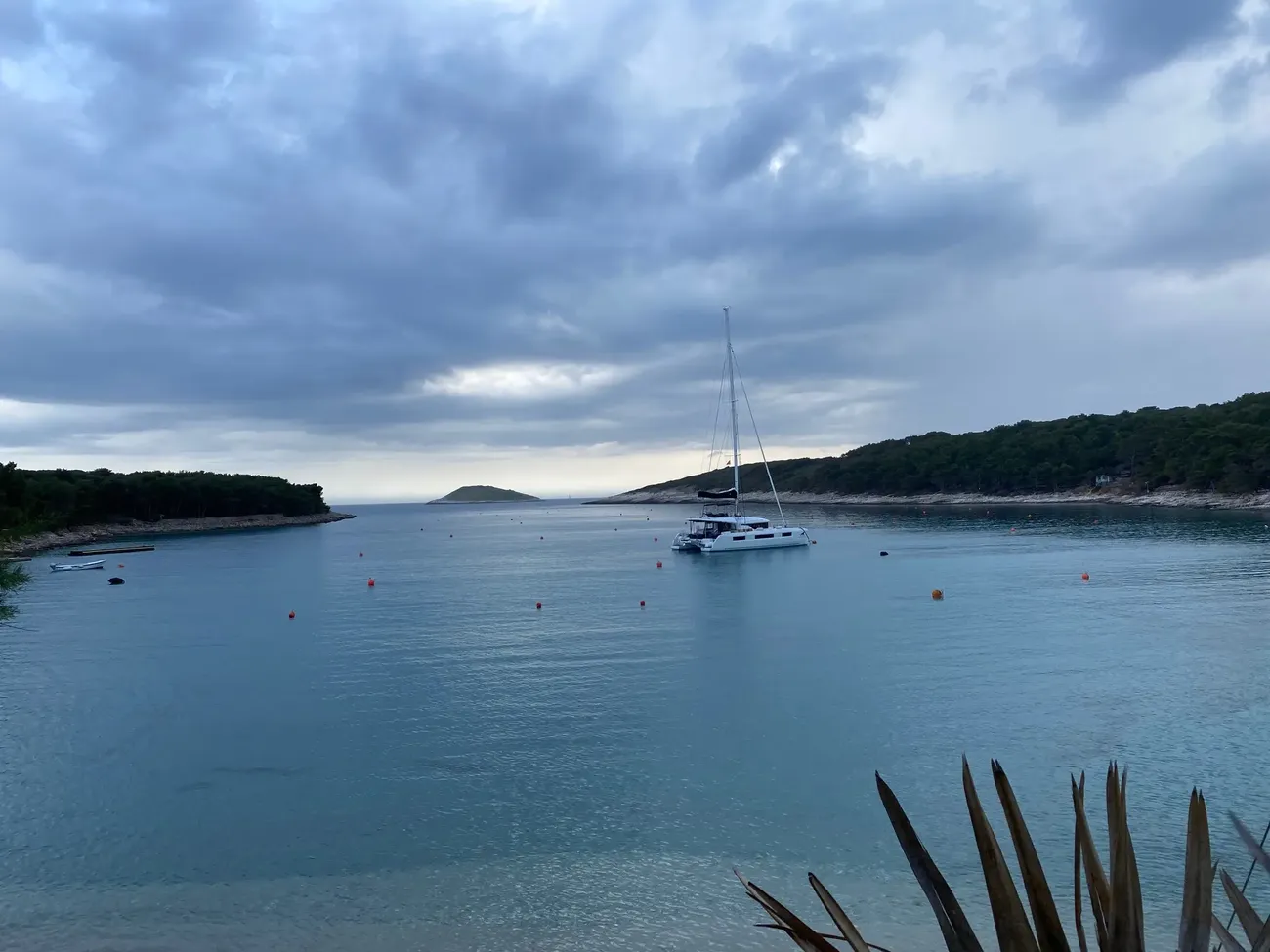 Thumbnail von Lagoon 50 ADRIATIC LEOPARD