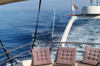 Thumbnail von Prestige 46 Fly ANIMA MARIS