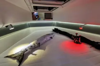 Thumbnail von Saxdor 320 GTC