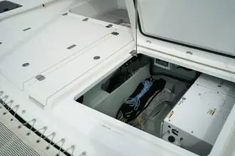 Thumbnail von Leopard 45