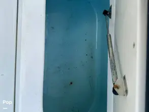 Thumbnail von Focus Power 36