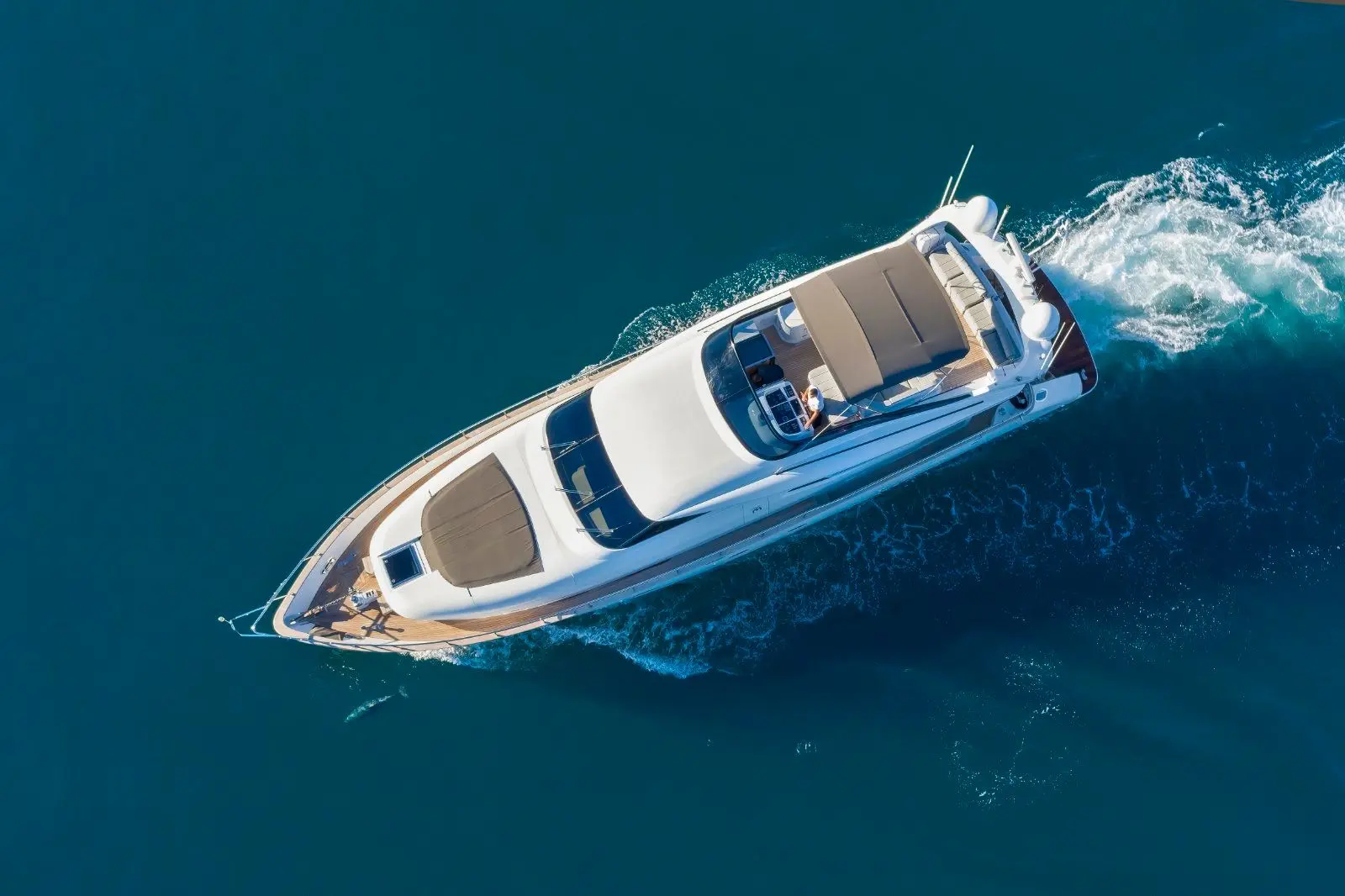 Thumbnail von Maiora 20 S