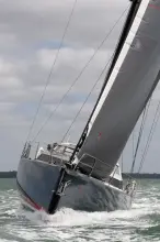 Thumbnail von Pegasus 50 PEGASUS 50