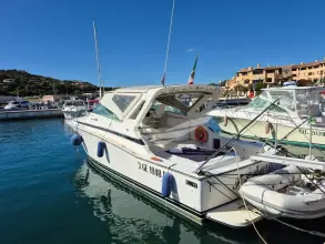 Thumbnail von Bertram 38 Special