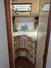 Thumbnail von Bertram 38 Special