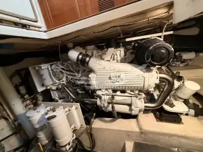 Thumbnail von Mochi Craft Dolphin 44