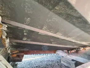 Thumbnail von Noah 33